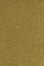 Ковролин AW Vivendi Punch 54 фото 1 | FLOORDEALER